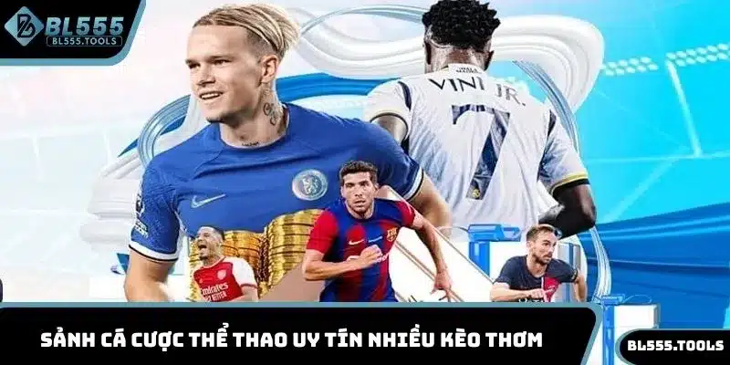 THỂ THAO BL555 1 Sảnh cá cược thể thao uy tín nhiều kèo thơm